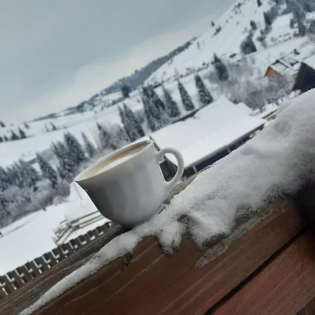 Πανσιόν Filiak