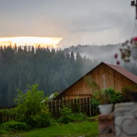 Πανσιόν Filiak 3*