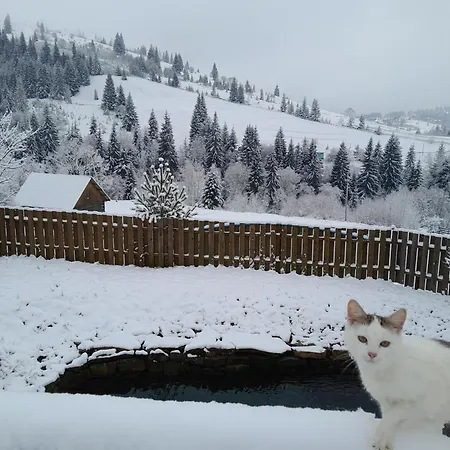 Filiak Πανσιόν Yablunytsya