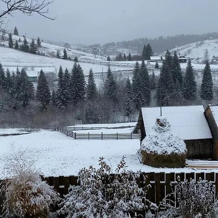Filiak Πανσιόν Yablunytsya