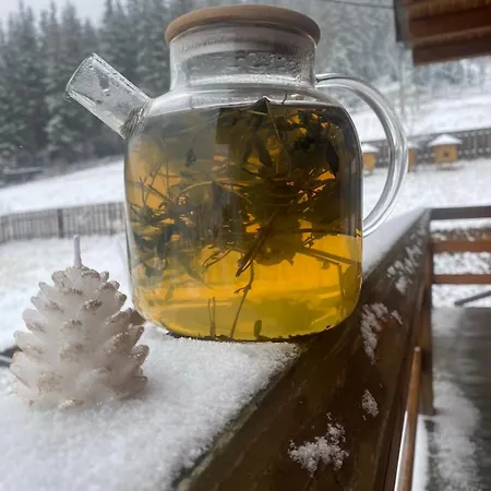 Filiak Πανσιόν Yablunytsya