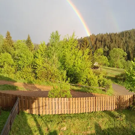 Filiak Guest house Yablunytsya