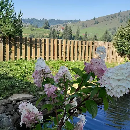 Πανσιόν Filiak 3*