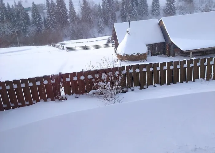 Filiak Guest house Yablunytsya