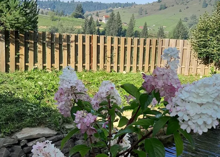 Guest house Filiak 3*