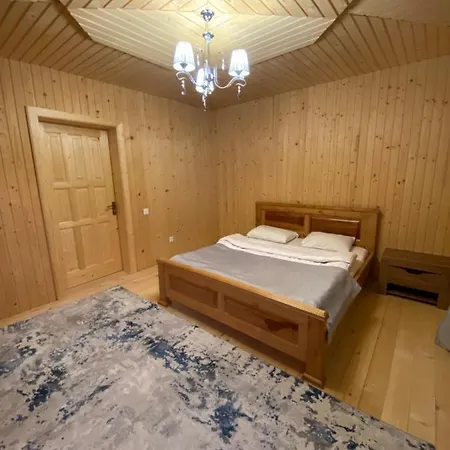 Filiak Guest house Yablunytsya