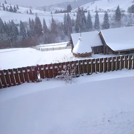Filiak Guest house Yablunytsya